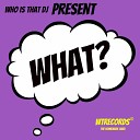 Who Is That DJ - What Original Mix