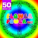 Flower Power Singers - My Sweet Lord