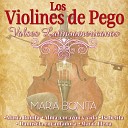 Los Violines De Pego - TIPITIPITIN