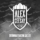 Alex Ceesay feat Salle Marcus Berg - Dr mmar bakom galler