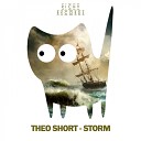 Theo Short - Storm Original Mix