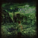 Of Desolation - Born of Tragedy