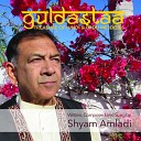 Shyam Amladi - Yeh Jawan Raat Sitare Jamin Pe Chaye Hain