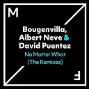 David Puentez Albert Neve Bougenvilla - No Matter What VIP Extended Mix