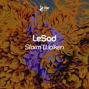 LeSad - Storm Wolken Radio Edit