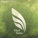 Robbie Seed - Susanoo Original Mix