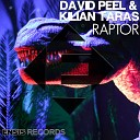 David Peel Kilian Taras - Raptor Original Mix