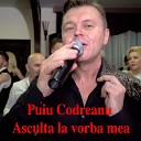 Puiu Codreanu - Asculta La Vorba Mea