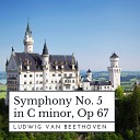 Vienna Orchestra - Symphony No 5 in C Minor Op 67 I Allegro con…
