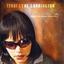 Terri Lyne Carrington - Dorian s Playground