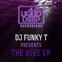 DJ Funky T DJ Booker T - No One Like You Original Mix