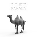 R Chris - Sahara Original Mix