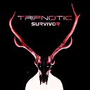 Tripnotic feat Avarice - The Struggle
