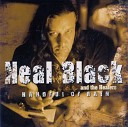 Neal Black The Healers - Rainbow Graveyard