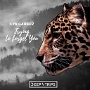 Ilya Garbuz - Trying To Forget You Original Mix
