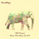 MZ Project - The Flute Original Mix