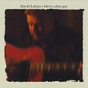 Dave Lykins - Here s Your Love Song