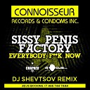 Sissy Penis Factory - Everybody Fuck Now DJ Shevtsov Remix