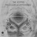 The Ripped - Molecular Disappearance Original Mix