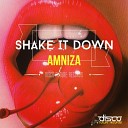 Amniza - Shake It Down Original Mix