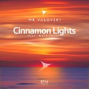 Mr Vasovski feat M rk J rai - Cinnamon Lights Radio Mix