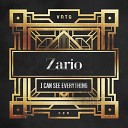 Zario - I Can See Everything Original Mix