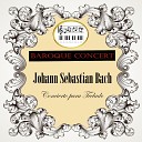 Academy of St Martin in the Fields Sir Neville Marriner John Constable Andrei… - Harpsichord Concerto No 1 in D Minor BWV 1052 II…