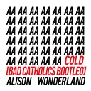 Alison Wonderland - Cold Bad Catholics Remix