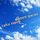 Carlos Morelli - Humanity Original Mix