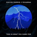 CALVIN HARRIS FEAT RIHANNA - THIS IS WHAT YOU CAME FOR DANNY DOVE REMIX