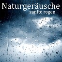 Entspannungsmusik Das Natur Orchester von… - Regenger usche Teil 29