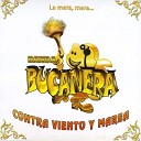 Banda Bucanera - La Rana