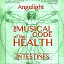 Angelight - Healing Intestines