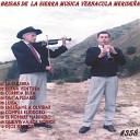Super Tamarindo All Stars - La Culebra