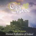 The Celtic Orchestra - The Mountains of Mourne