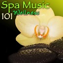 Pure Massage Music - Slow Down Beauty Treatments