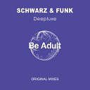 Schwarz Funk - Walk Around Beach House Mix