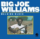 Big Joe Williams - Low Down Dirty Shame