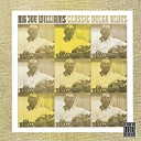 Big Joe Williams - Bird s Nest Bound Album Version