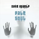 Dave Rudolf - Pale Soul