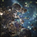 The Response - Space Wind Original Mix