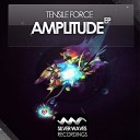 Tensile Force - Amplitude Original Mix