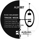 Ross Waldemar - Triode Mode F AKT No Sense Remix