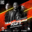 The Black Eyed Peas - Pump It DANIEL ONYX DJ Erika ft Валентин Сюсюкайло Radio…