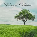 Nature Sounds for Sleep and Relaxation - Massaggio Reiki