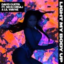 David Guetta Feat Nicki Minaj Lil Wayne - Light My Body Up