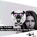 Alex Pushkarev DJ Jan Steen Remix - Iio Is It Love