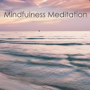 Meditation Music Masters - Meditations Nature Music