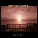 Projekt Ph nix - Paranoid Institute Remix 2012