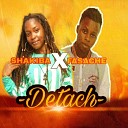 Shakiba Fasache - Detach